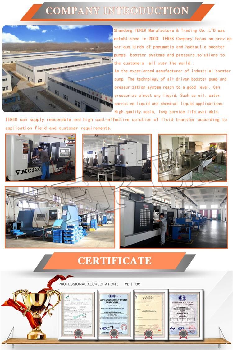 Terek Brand Air Driven Liquid Booster Water Hydrostatic/Hydro/Hydraulic Pressure Pump Test Bench