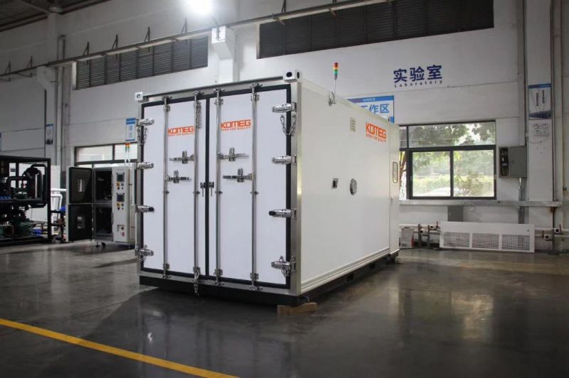 Driven Electric Vehicle and Battery Large Climate Chamber Testing From -30 Degree to 60 Degrees