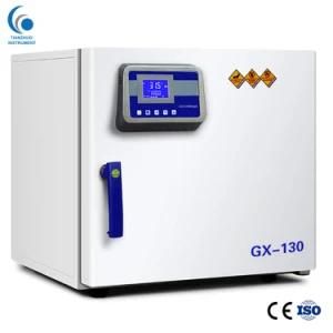 Programmable High-Precision Hot Air Drying Oven for Laboratory (GX Series)