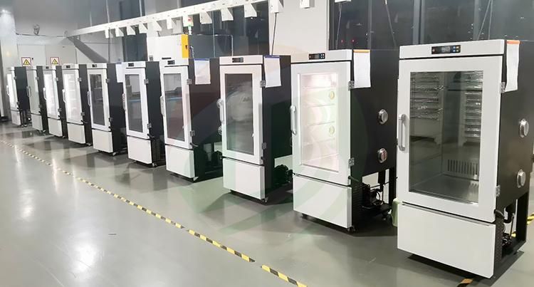 Battery Constant Temperature Test Chamber