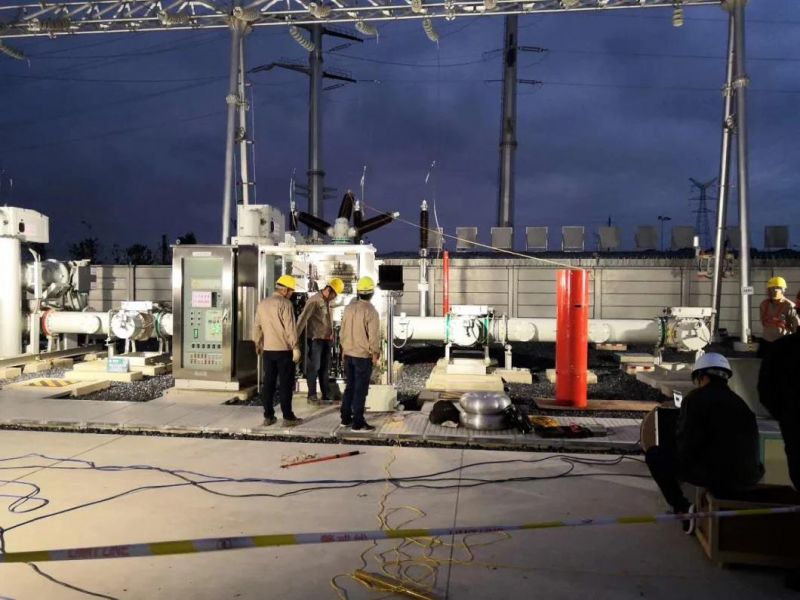 Strong Anti-interference High power High Voltage Megger