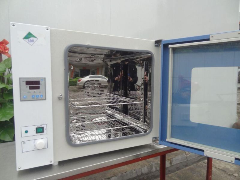 Customizable Electric Drying Oven with Hot Air Circulation