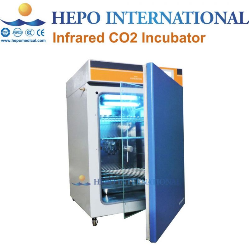 Constant Temperature and Humidity Climate Biochemistry Incubator Chamber (HP-CTHI800)