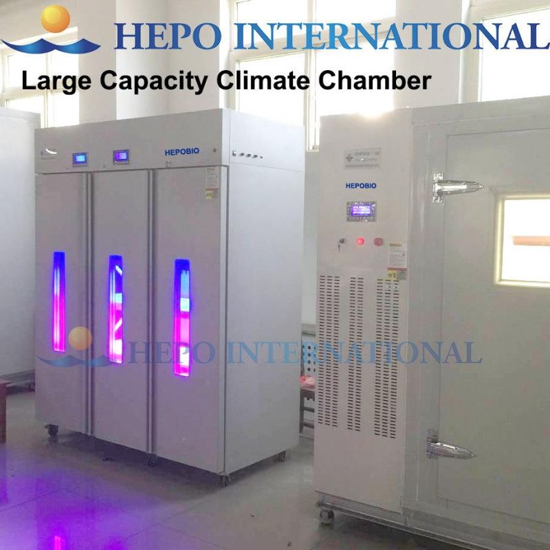 Constant Temperature and Humidity Climate Biochemistry Incubator Chamber (HP-CTHI800)