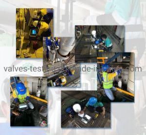 Portable Online Safety Relief Valve in Situ Pressure Power Plant