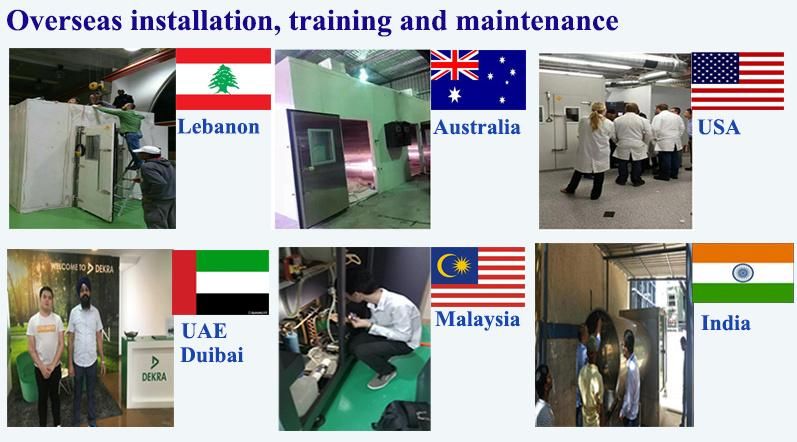 Overseas Installation and Debugging Available Environmental Test Chambers for Test Car Computer Cell Phone