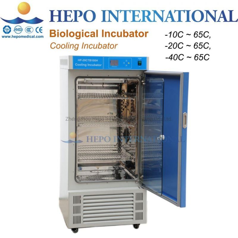 Laboratory Mini Mould Cultivation Seeds Germinating Incubator