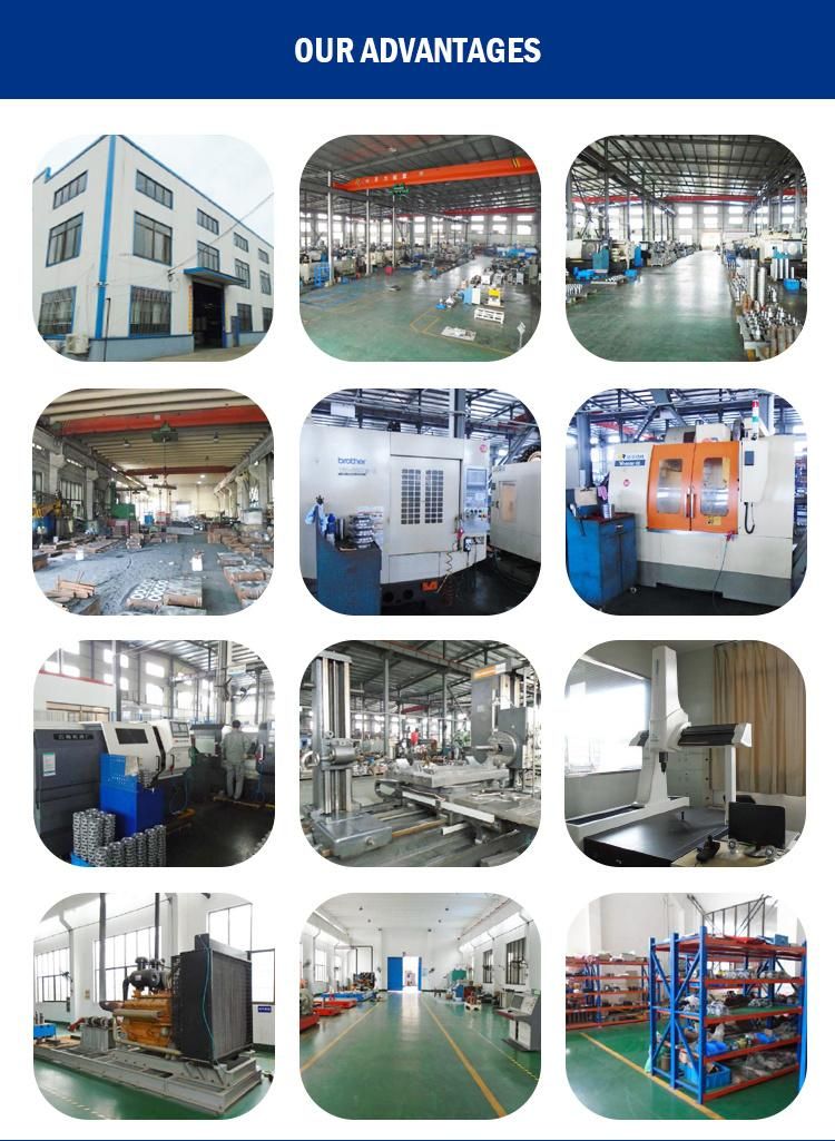 Manufacturer Design and Supply Alternator Test Bench Eddy Current Retarder