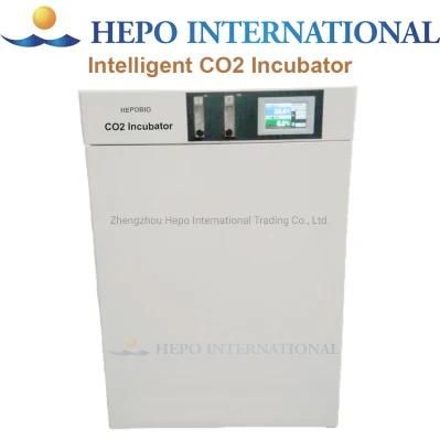 200liters Laboratory Constant Temperature Carbon Dioxide Incubator Chamber