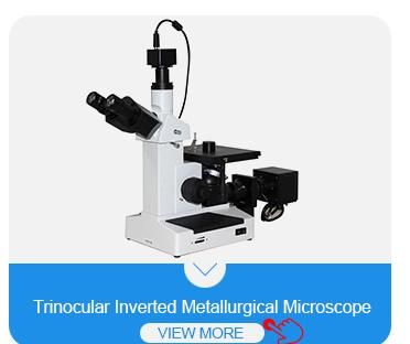 Gtq-5000b High Speed Precision Enhanced Metallographic Specimen Cutting Machine