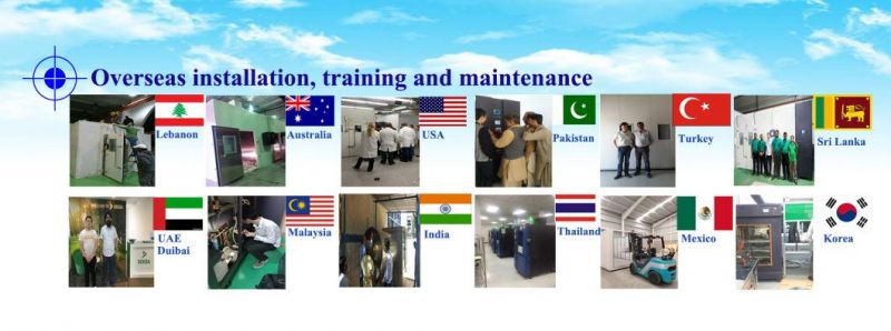 0 to 1000pphm Dynamic Ozone Resistance Aging Test Chamber Price