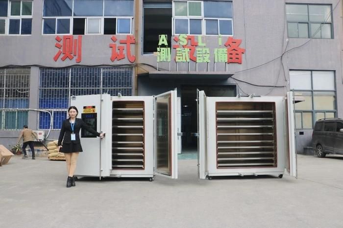 High Temperature Controlled Heating Oven for Industrial Drying Test