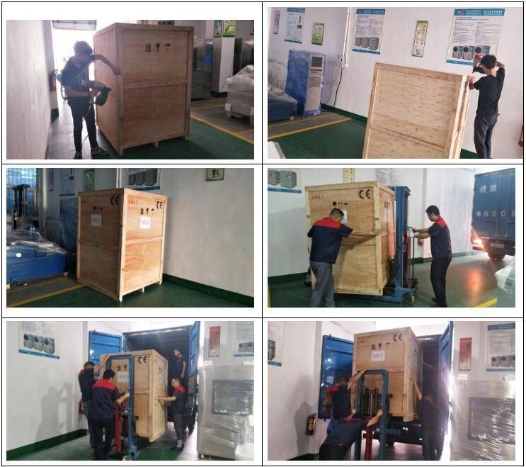 Constant Laboratory Temi-880 Temperature and Humidity Control Environmental Climatic Test Chamber