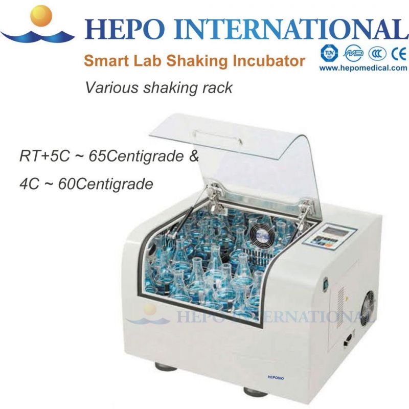 Constant Temperature and Humidity Climate Biochemistry Incubator Chamber (HP-CTHI800)