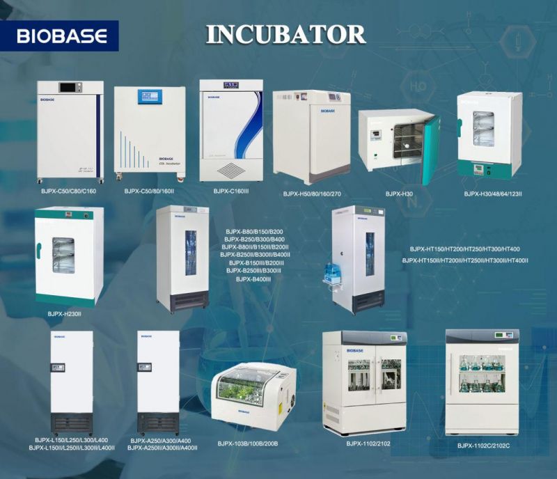 Biobase Bjpx-Ms500A 500L Pharmaceutical Medicine Stability Test Chamber