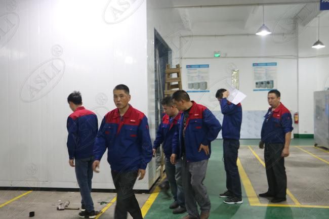 Customized Size Walk in Constant Temperature and Humidity Test Room