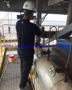 Online Safety Relief Valve in Situ Pressure Test Equipment