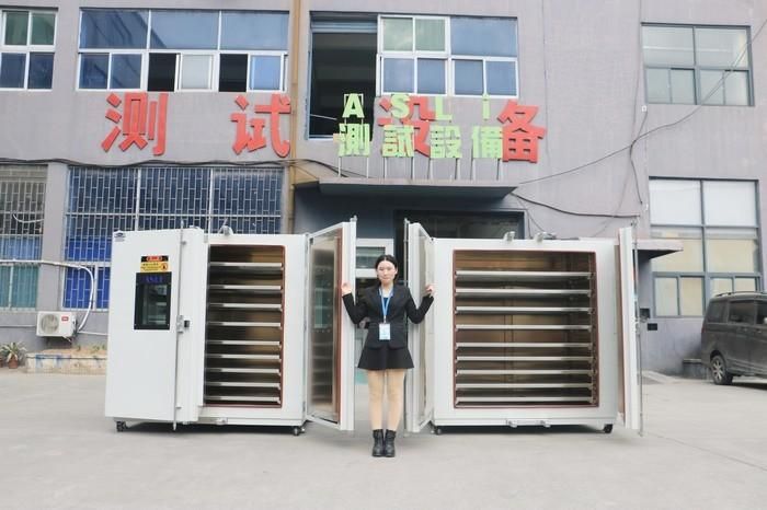 300 Degree High Temperature Test Machine/ Drying Oven