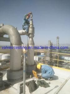 Portable Online Safety Relief Valve in Situ Pressure Test Equipment