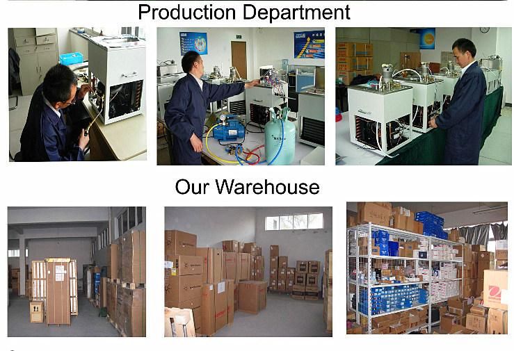 Lab Digital Forced Air Convection Drying Sterilizing Oven