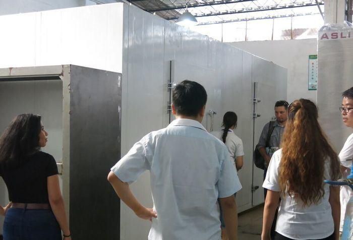 Walk in Climatic Test Chamber Programmable Temperature and Humidity Machine