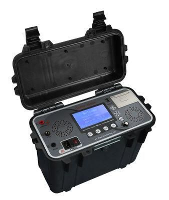 Insulation Tester for Water-cooled Generator 2500V