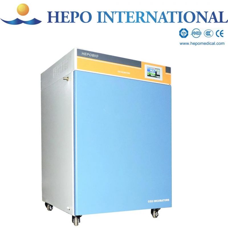 200liters Laboratory Constant Temperature Carbon Dioxide Incubator Chamber