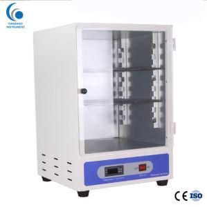 Mini 50L Electric Constant Temperature Heating Incubator (303 Series)