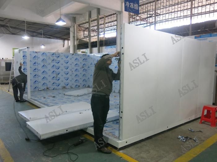 Customized Size Walk in Constant Temperature and Humidity Test Room